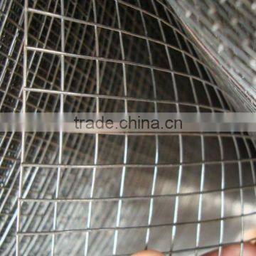 Pvc welded wire mesh sheet /galvanized welded wire mesh roll panel 30 years factory