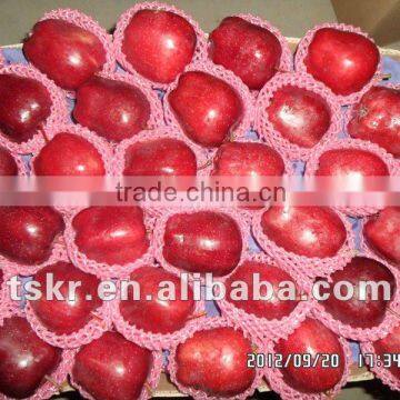 fruit vegetable of red apples