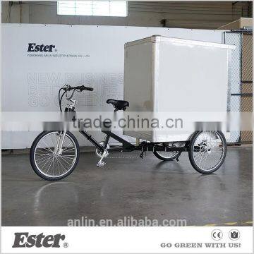 ESTER Heavy Load Electric Assisted Cargo Trike