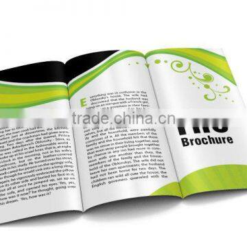 Promotion Foldable Brochure/ Catalog (SA8000, BSCI, ICTI, WCA Accredited Factory)