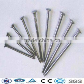 cheap with high quality common nails (factory)