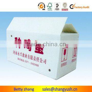 Shipping Cartons Packing Book and Wine