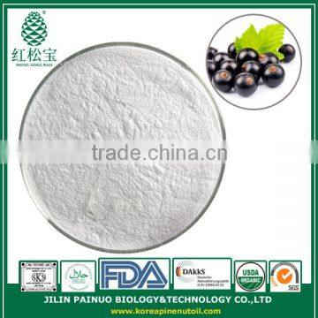 Wholesale supplier pure Black Currant Seed Oil Powder