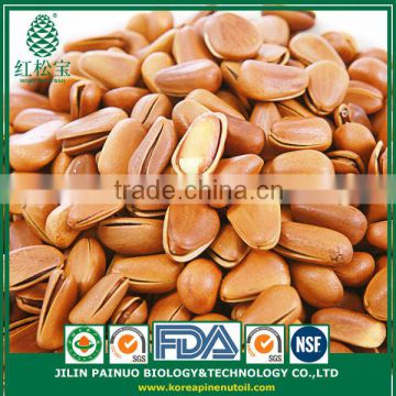 Wholesale Dietary Supplyment Siberian Open Pine Nuts in Shell