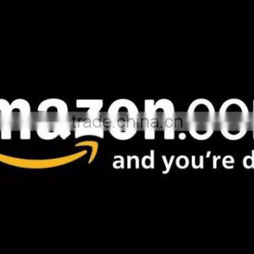 Amazon professional cheap express door to door service from china to USA