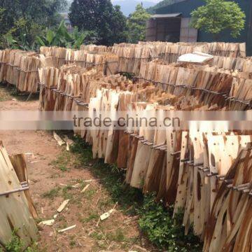 Wood Core Veneer Eucalyptus/acacia From Vietnam