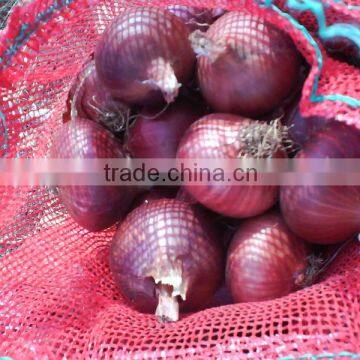 Fresh Red Onion