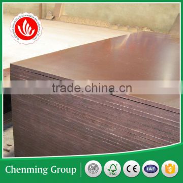 poplar plywood/poplar film faced plywood for concrete formwork