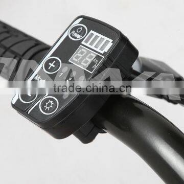 Hot sale black electric bicycle LED display