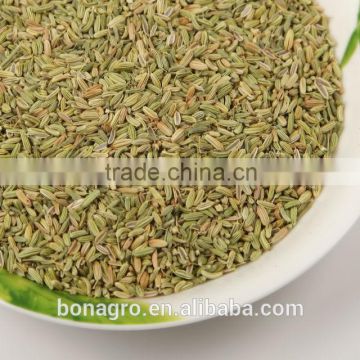 Chinese fennel seed good for eat