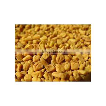 Fenugreek Seed Exporters photo-5