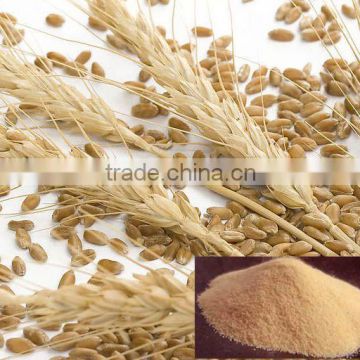 Best function lose weight dried Barley Malt Extract 98%Hordenine