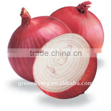 China's high quality Onions