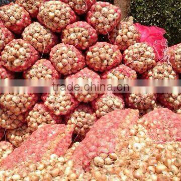 Fresh Onion From Egypt High Quality