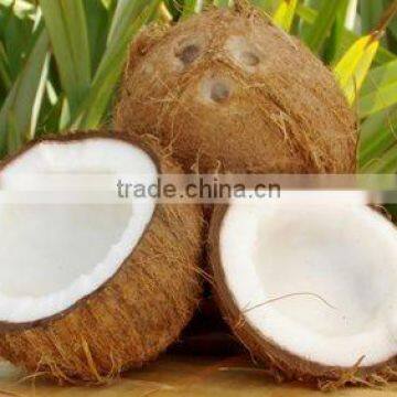 COCONUTS