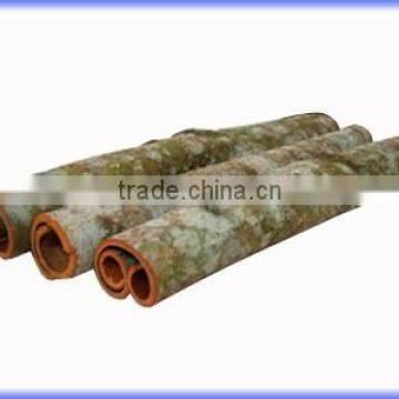 VIETNAM CASSIA TUBE NEW CROP