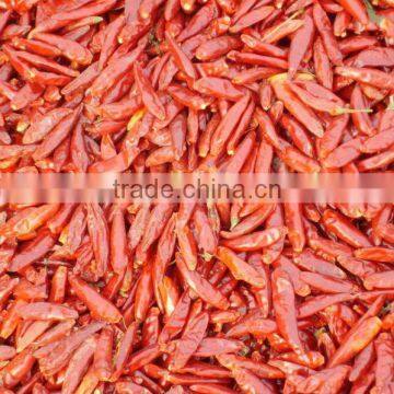 dry red chilli dried red chilli dehydrtated Hot red chilli green spicy