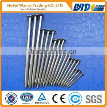 High quality cheap common nail / hot sale low price common nails (CHINA SUPPLIER)