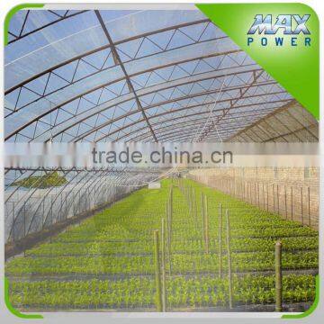 Good Quality Gutter Connect Greenhouses on Sale photo-2