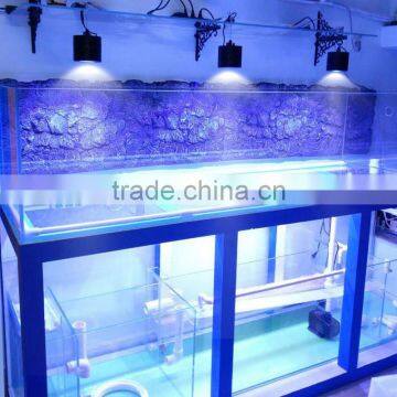 Wholesale Freshwater Aquarium Best Quality