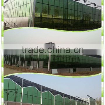 Vegetable Venlo Multi-span Glass/ pc sheet Greenhouse with Factory Price