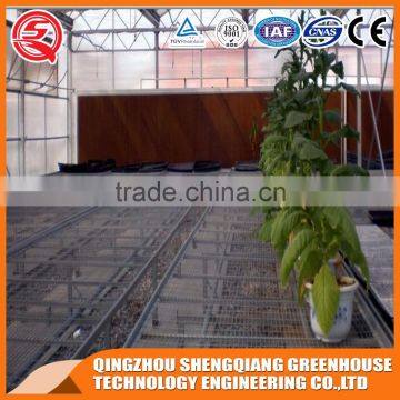 Factory Outlet Large Multi-span Glass Agricultural Greenhouses for Vegetables,flowers and Fruits photo-6