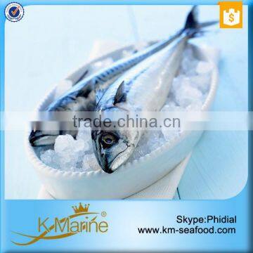 Wholesale Mackerel Frozen Foods photo-6