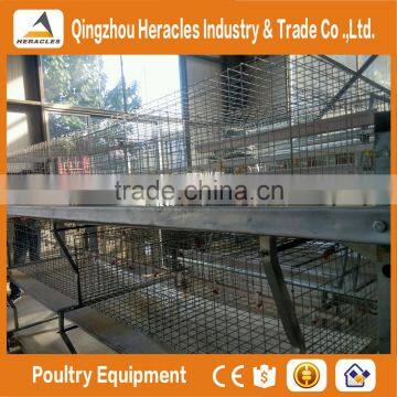 Shandong Heracles Trade Assurance Poultry Farming Equipment Chicken Layer Cage for Sale photo-5
