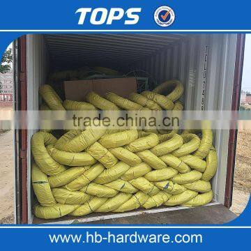 Electro Galvanized Iron Binding Wire photo-6