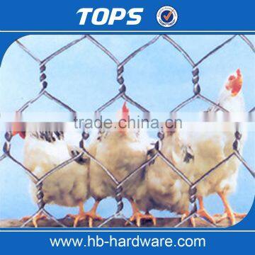 Hebei Factory Supply Fine Hexagonal Wire Netting/Gabion Slope Protection Netting/Cabion Wire Roll(Manufacturer)