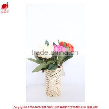 Colorful wholesale cheap tulip flower for decoration