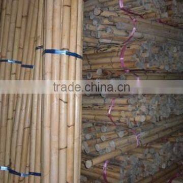 Raw Rattan Cane, Rattan, Cane, Rattan Meterial, Raw Material, Rattah Raw Mateiral, Rattan Cane