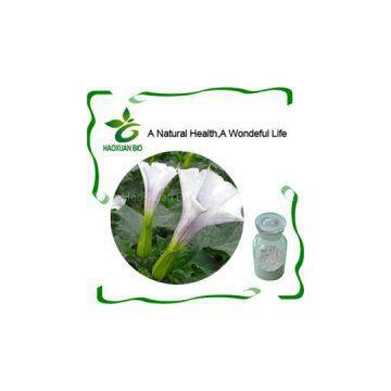 Scopolamine Hydrobromide
