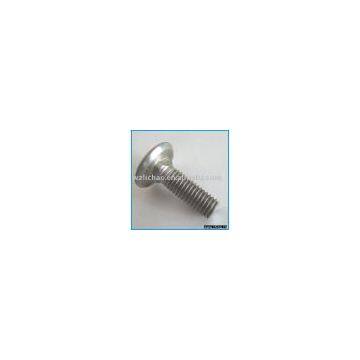 stainless steel round head square neck bolts(carriage bolts)