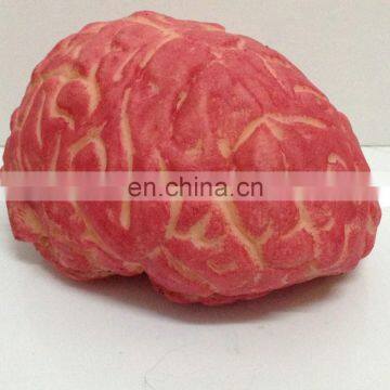 2015 Simulation of the Cerebrum Prop for Halloween