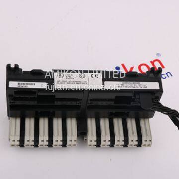 DS3800NEPA1E1D DS3800NEPA1F1E DS3800NEPB1G1F General Electric GE photo-4