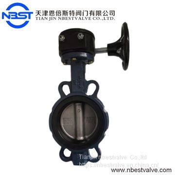 D371XP-5KQ worm gear butterfly valve DN100