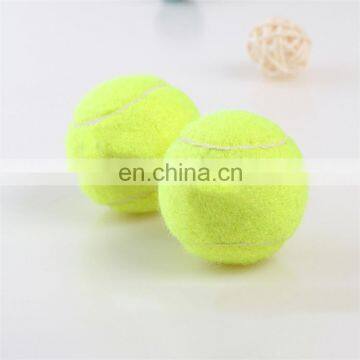 Dog chew toy tennis biting resistant pet toy outdoor play bouncy ball pet happy interactive toys