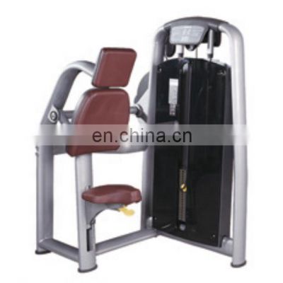 2022 Pin loaded sports equipment ASJ-A045 Triceps Dip/fitness equipment