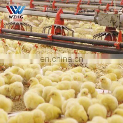 Poultry Farming Chickens House for 10000 Layers photo-5