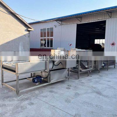 Air Bubble Leafy Automatic Washer Fruit And Vegetable Clean Production Line Vegetable Wash Machine Industry photo-4