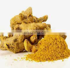 Automatic 20b 30b 180 Model High-speed Grinder Turmeric Crusher photo-3