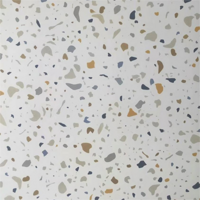 Indoor Outdoor Material 600X600mm Matt Ceramic Non Slip Glazed Rustic Porcelain Floor Wall Tile photo-2