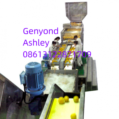 Orange Juice Lemon Juice Concentrate  Production Line Processing Equipment Turn-key Project