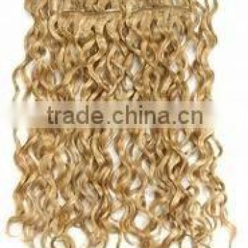 Fashion curly remy human hair clip in extention