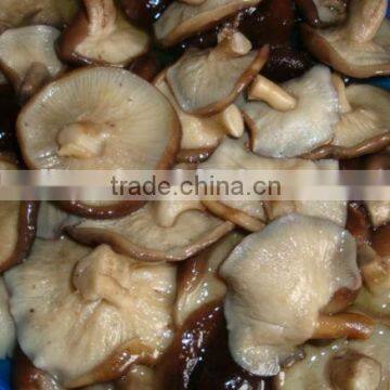 shiitake mushroom in brine packing indrum