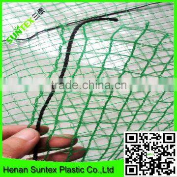 PE Plastic Anti Bird Netting/agricultural Anti Bird Net/cheap Bird Netting for Fruit Cover photo-3