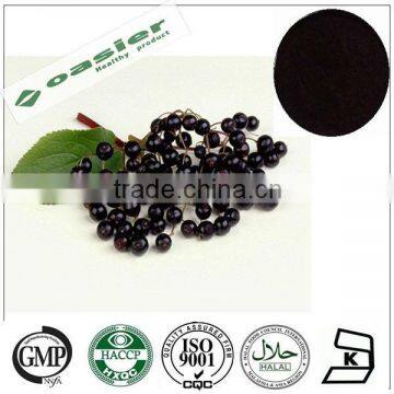 Natural GMP hot sale elderberry extract 5%Flavone UV