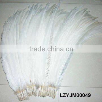 Natural Silver pheasant tail feathers LZYJM00049