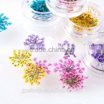 Stickers & Decals 3D Dry Flower, Mix 12 Color Decoration Real Dried Dry Flower for Nail Art Decoration ZX:GH744